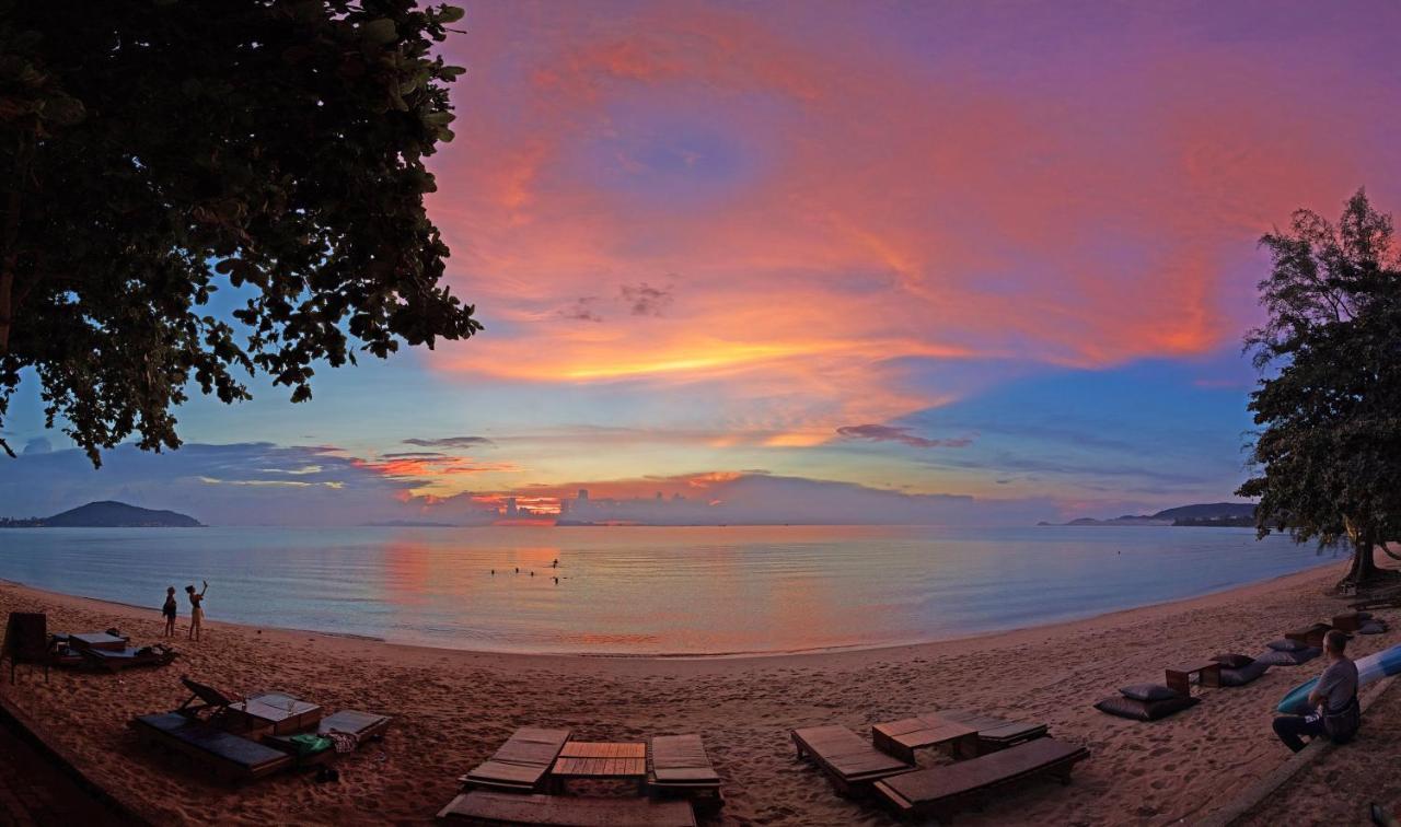 Satva Samui Yoga And Wellness Resort Amphoe Koksamui エクステリア 写真